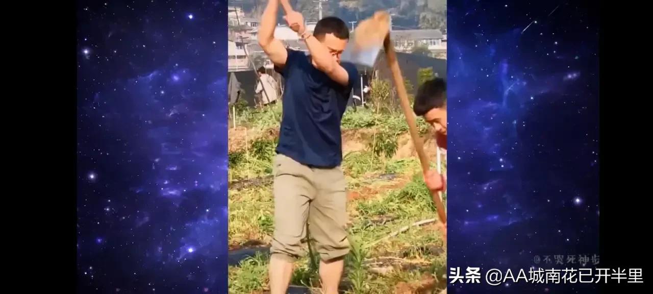 云南农大招生简章火了,云南农大招生简章是什么梗