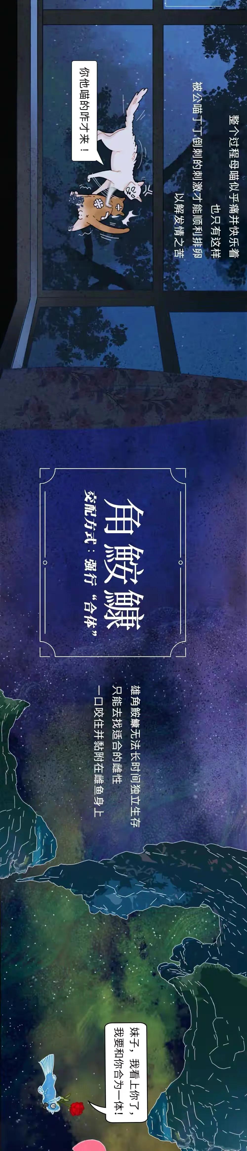 海陆空动物交配姿势对照表（严肃正经版）