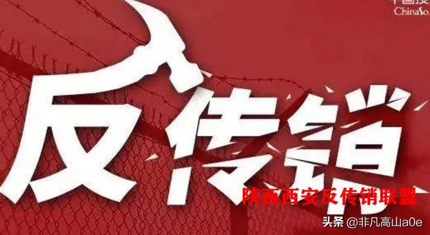 1040阳光工程:探寻传销的真相