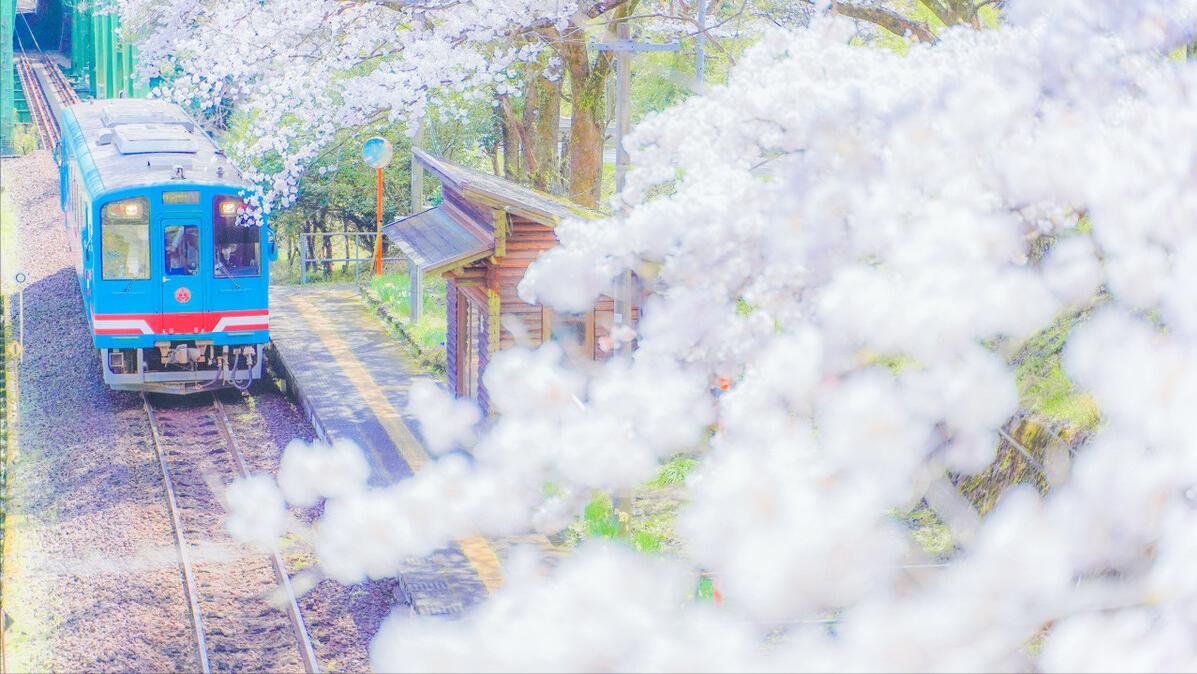 间歇性失忆与心因性失忆,暂时性失忆和短暂性失忆