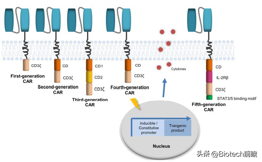 中国哪家医院可以做car-t细胞疗法,car-t细胞免疫疗法能治疗什么癌症