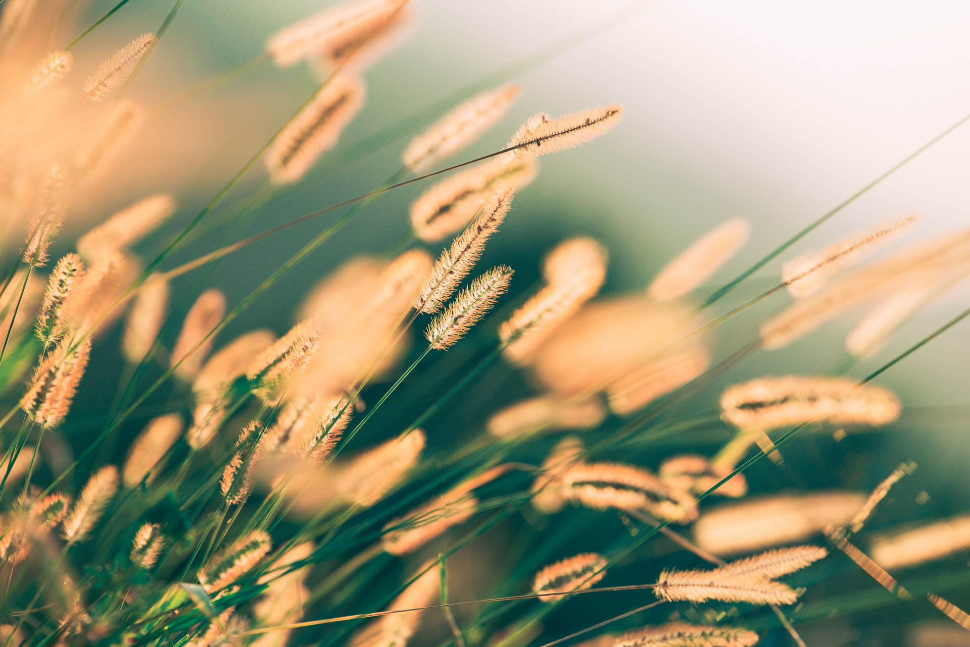 女人和异性关系的表现,女人跟异性接触的表现