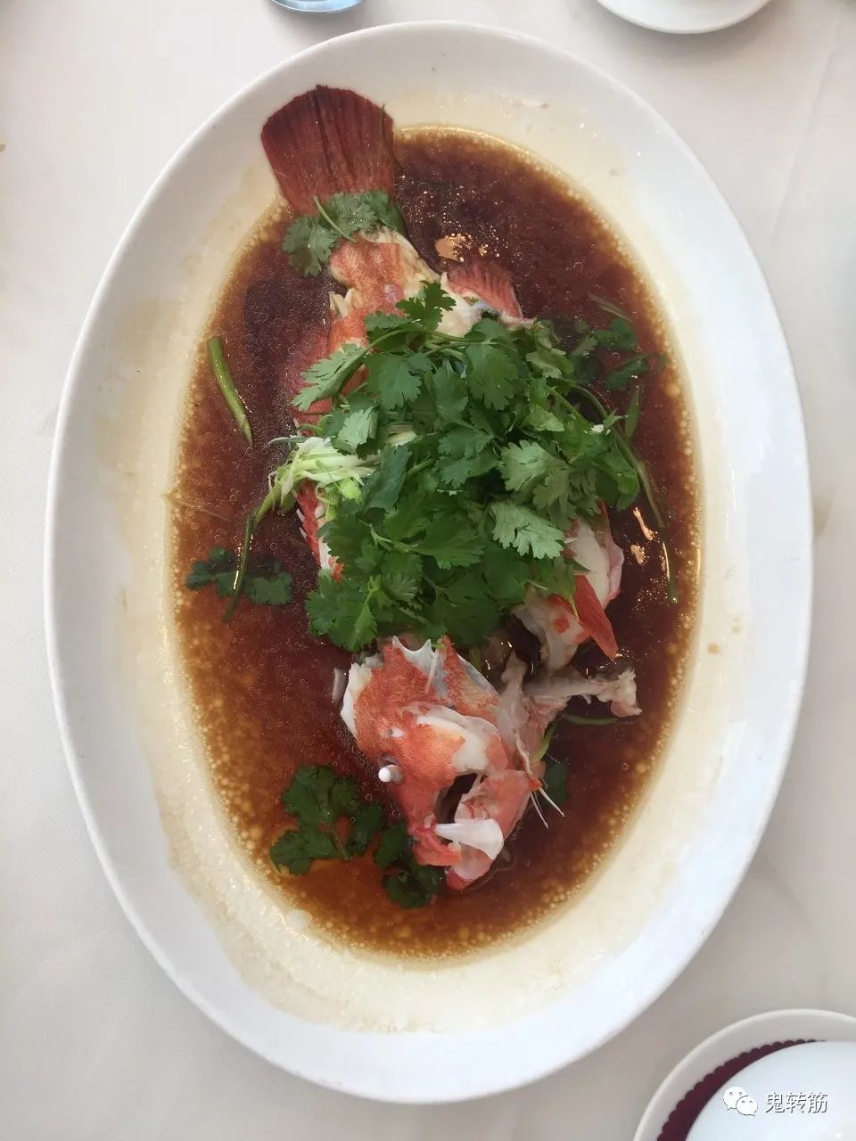 香港游玩美食攻略,香港澳门游玩