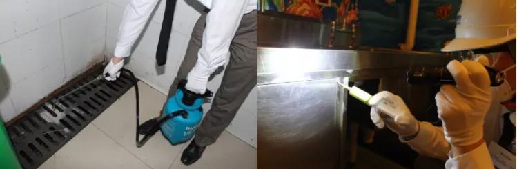 卫生杀虫剂有哪些剂型,十大新型卫生杀虫剂