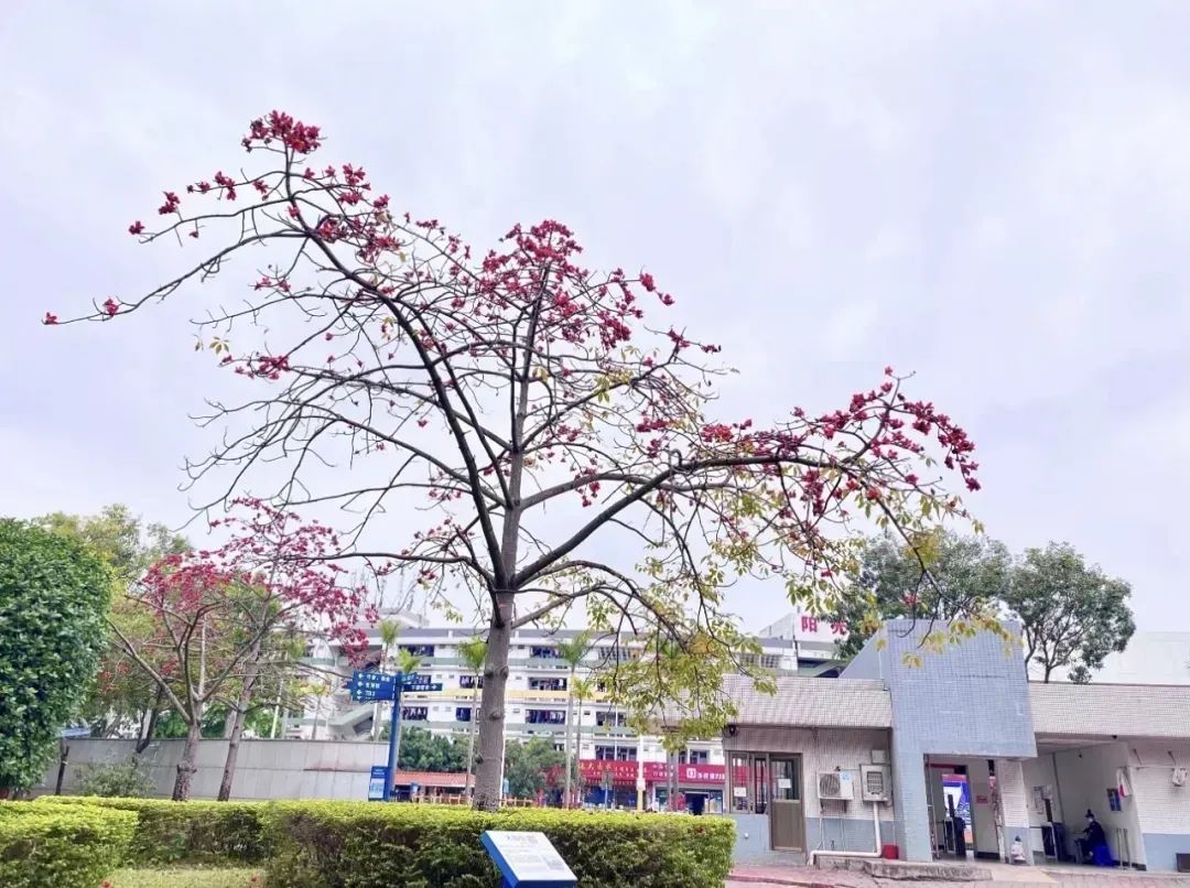 中山纬创电子厂有哪些岗位,中山纬创电子厂怎么样站着上班的