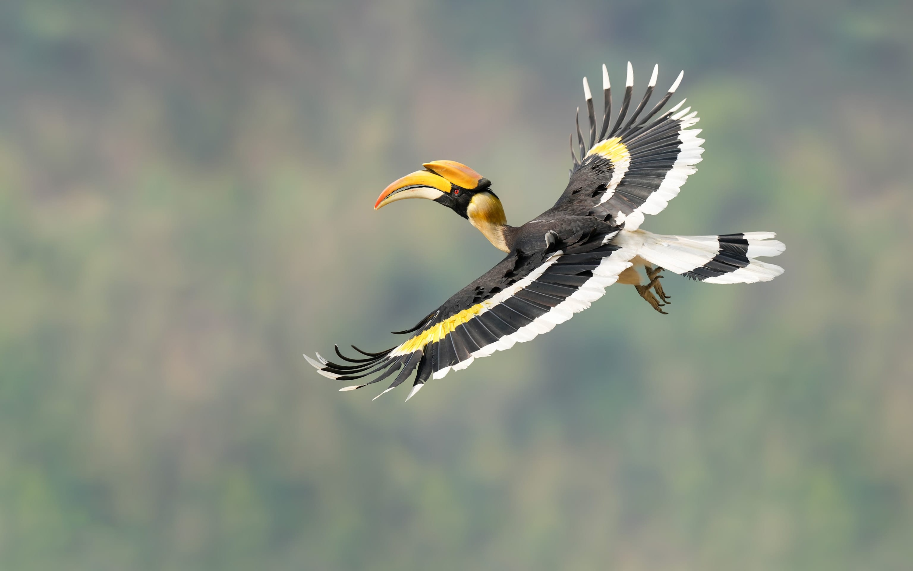 王者归来1-100级,索尼alpha1教程