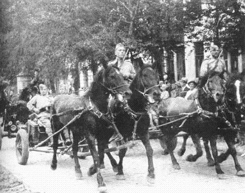 1945年苏联解放东北,苏联解放东北1945年