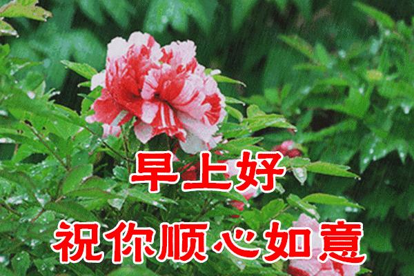 早安的句子跟图片朋友圈正能量,早安正能量的短句子心语图片大全