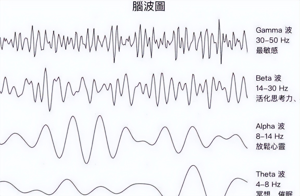 认识脑之一：记忆与大脑