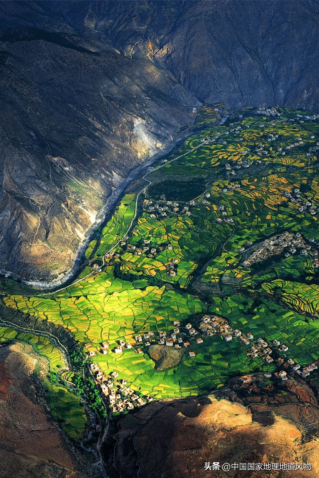 秋分广大农民粮食的丰收时节,秋分丰收总结