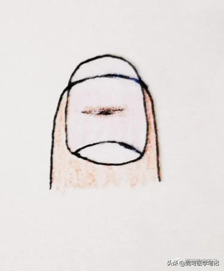 进行手部指甲养护的步骤,手部理疗和指甲护理