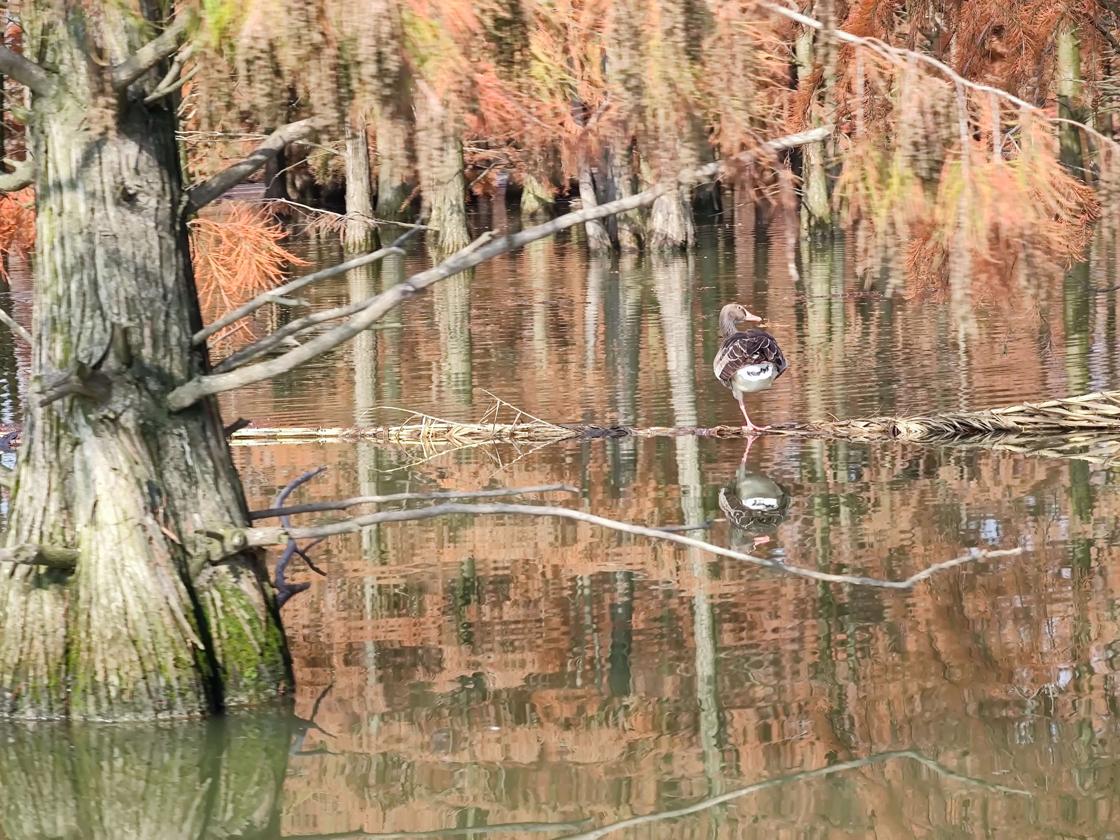 苏浙皖赣的旅游景点有多少,苏皖旅游景点推荐