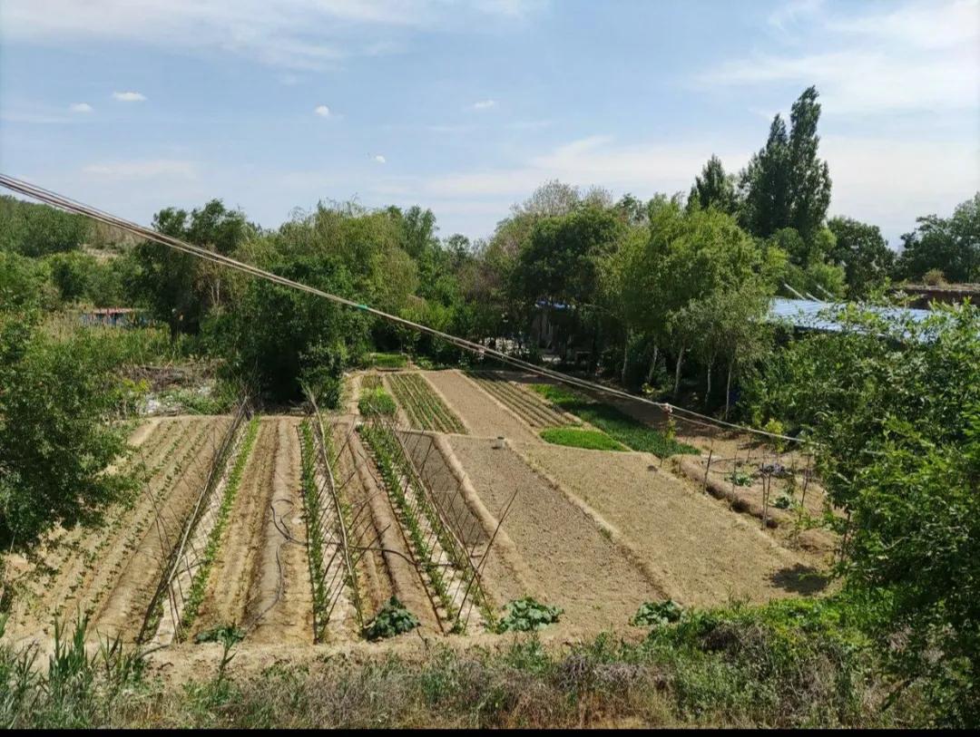 乌鲁木齐哪里有生态公园,乌鲁木齐山区哪里最好玩儿