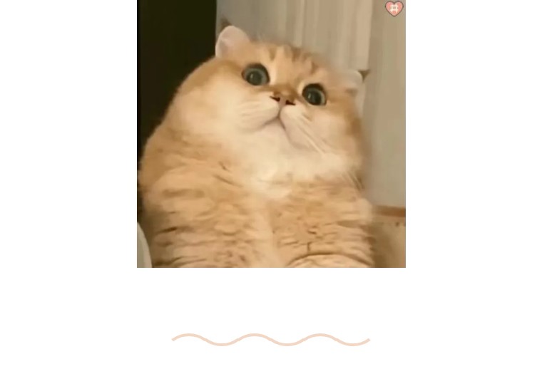 孔乙己茴香豆的茴字四种写法,孔乙己为什么说茴字有四种写法