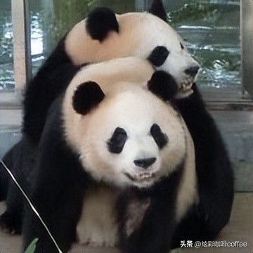 男生身高165cm你会介意吗,男生身高165但很优秀可以接受吗