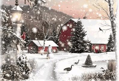 岁月不忘年轮,岁月带走年轮