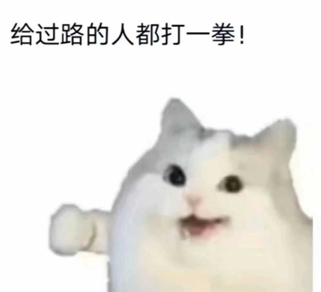 电脑端观影神器,电脑端免费观影神器