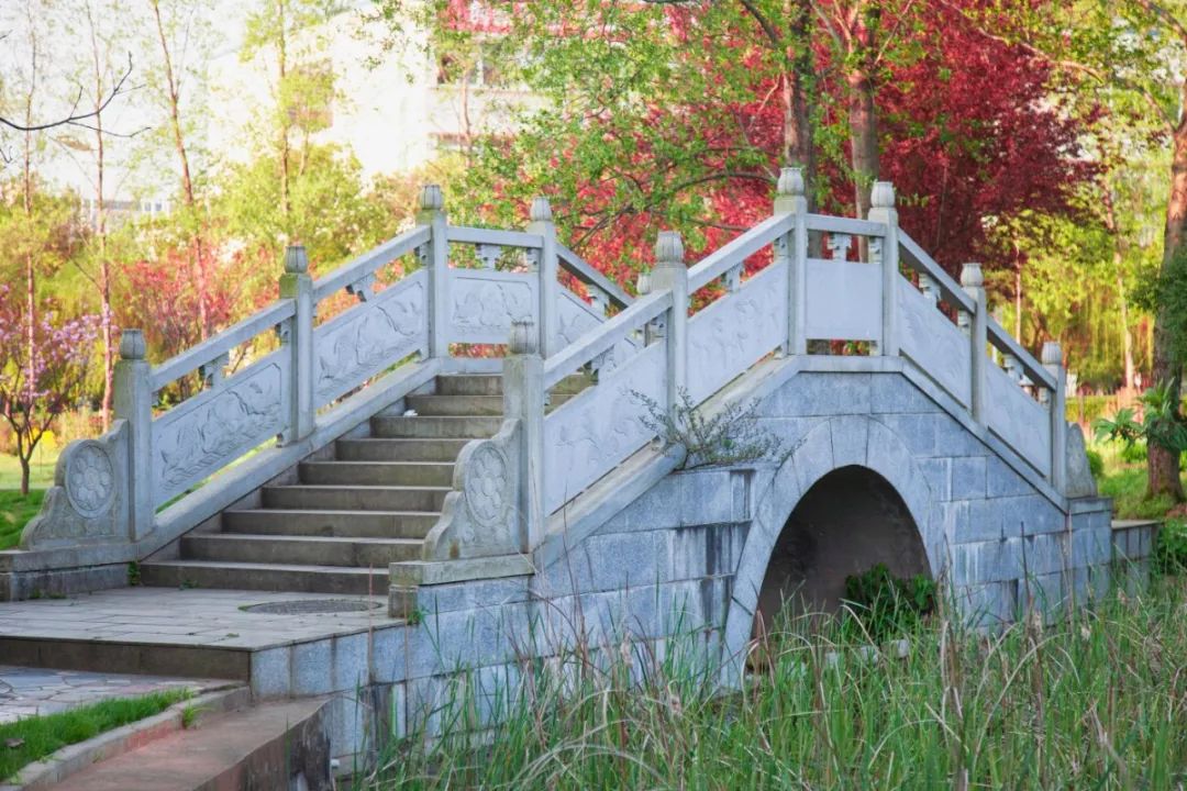 江西中医药大学里面的经典学院,江西中医药大学最新排名