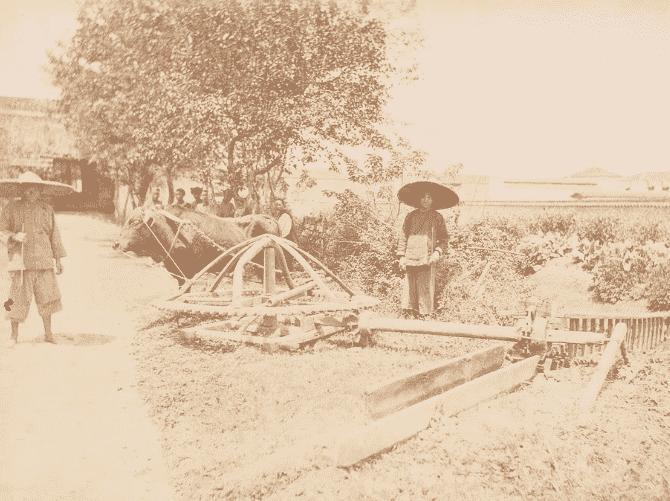 老照片再现侵华日军的罪恶行径,老照片日本侵华暴行