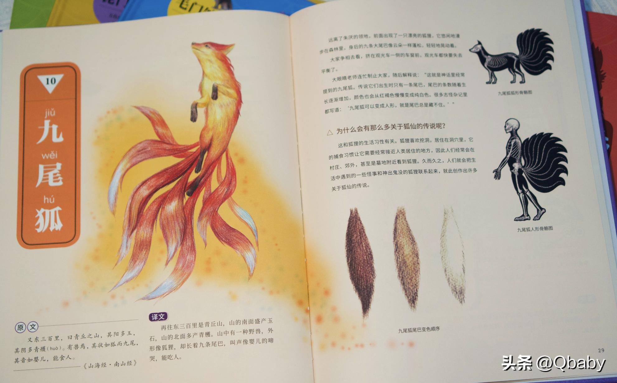 奇趣动物百科书,百科全书稀奇古怪的动物