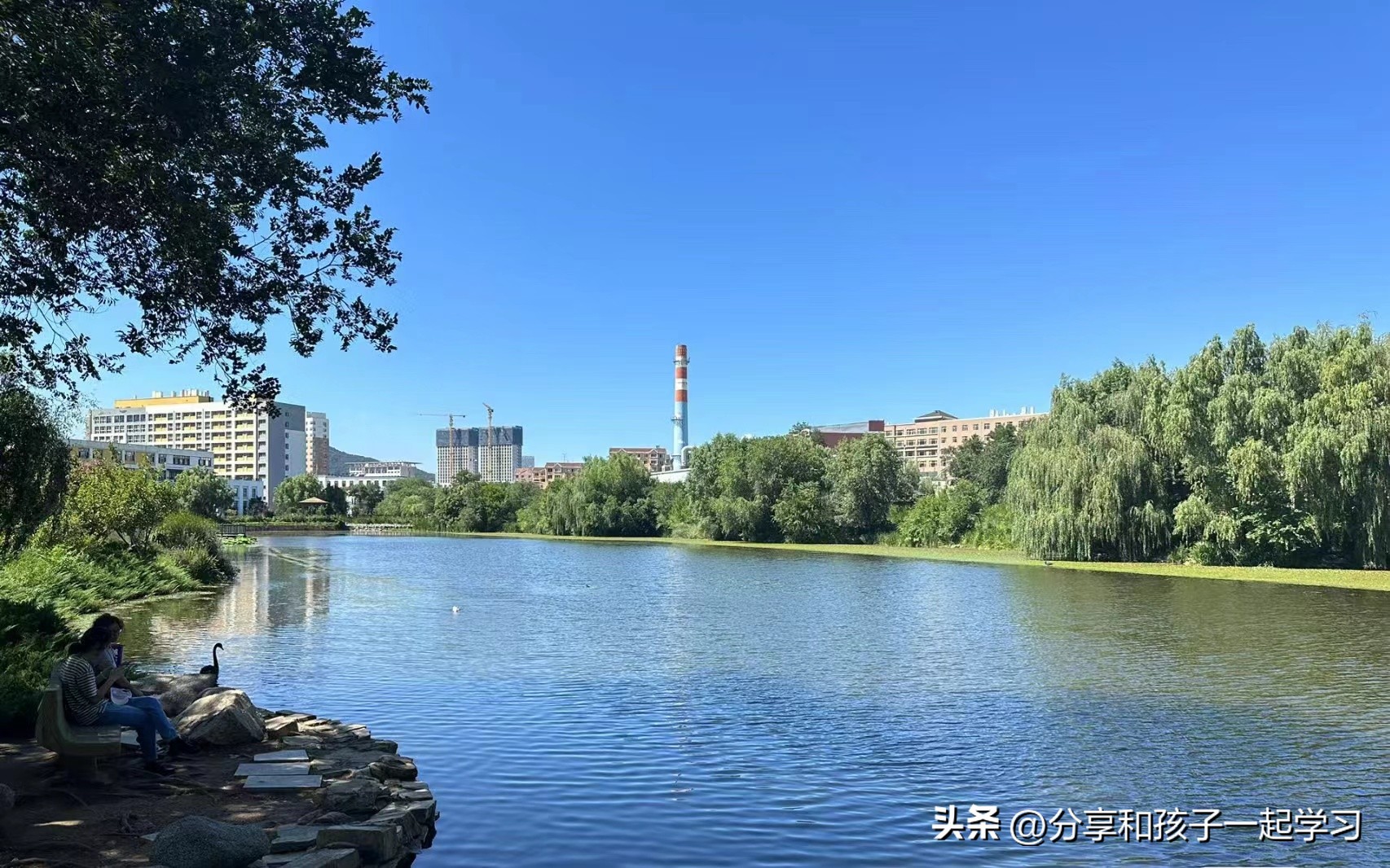 暑假带孩子去青岛还能去哪里玩,趁暑假带孩子去旅游