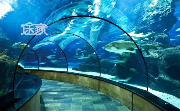 上海普陀长风公园风景,上海长风公园景观分析