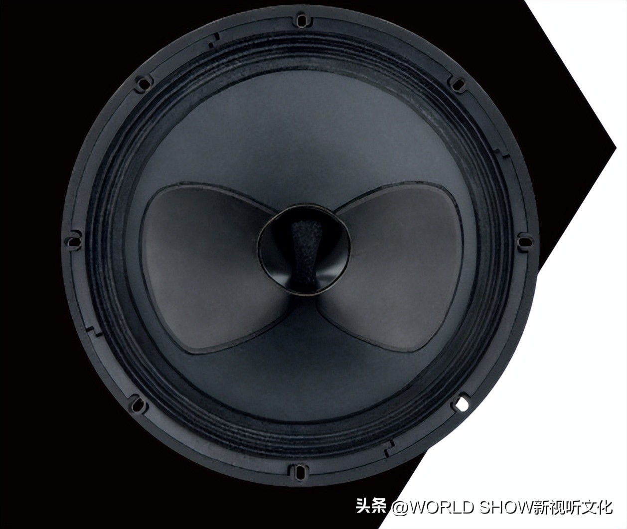同轴音箱10万内,国产十大同轴音箱