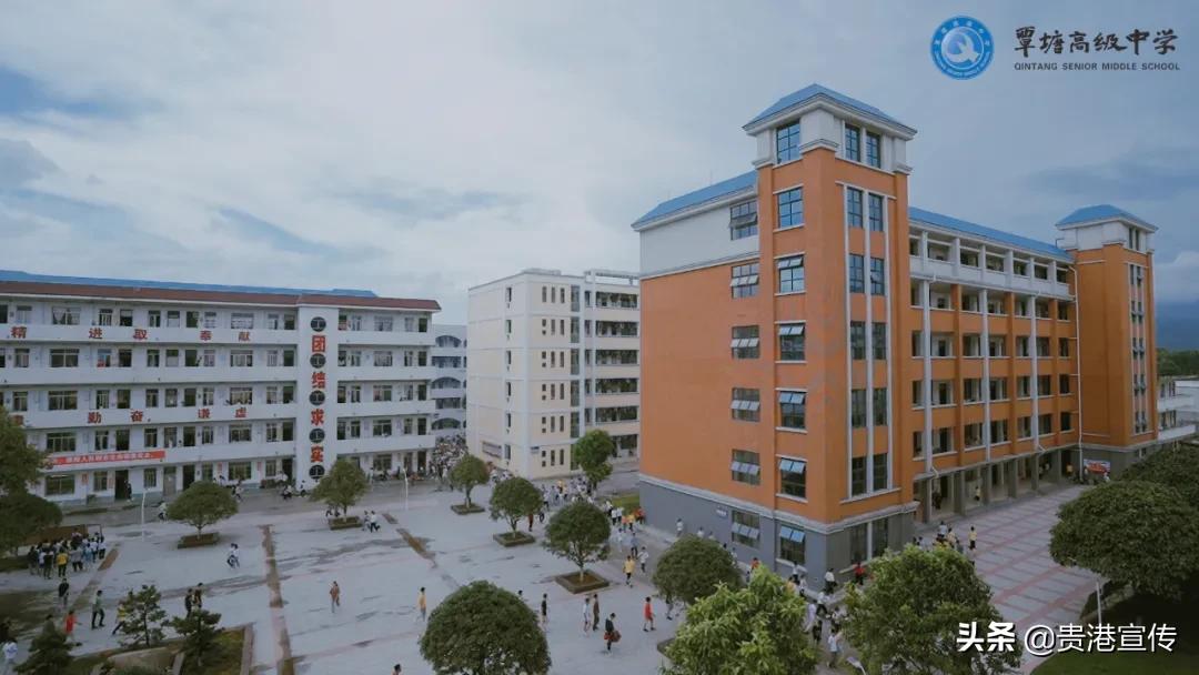 广西贵港体育中学,贵港新增示范性学校名单