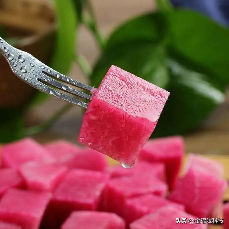 金玉园萝卜熟了~15日采摘期，清甜无辣，原汁原味，自然生长