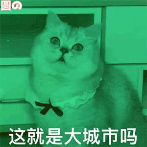 “好开心啊，我终于被人绑架了”