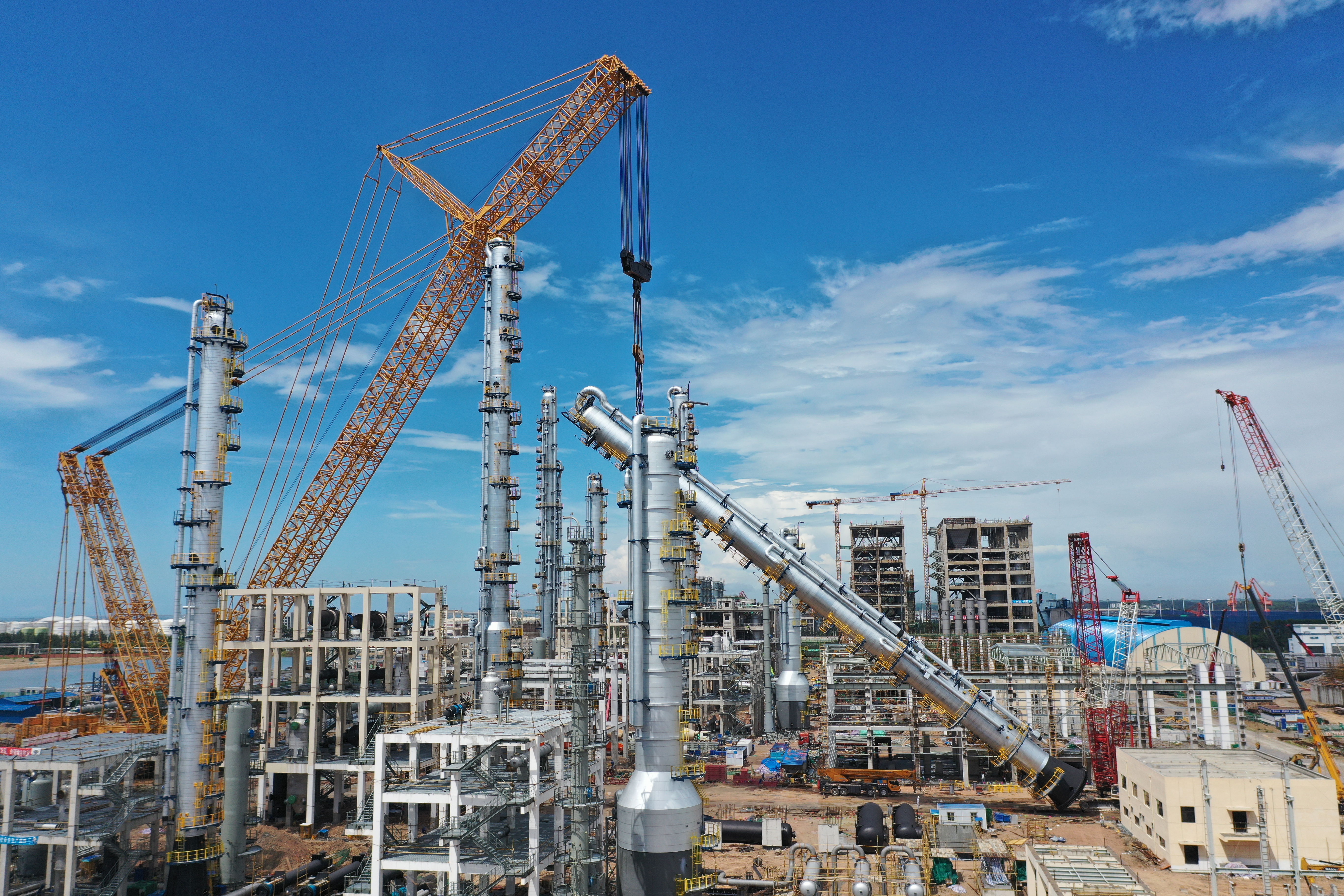 「有片」遇见桂地他们有故事|守护白海豚一家两代破解世界级难题