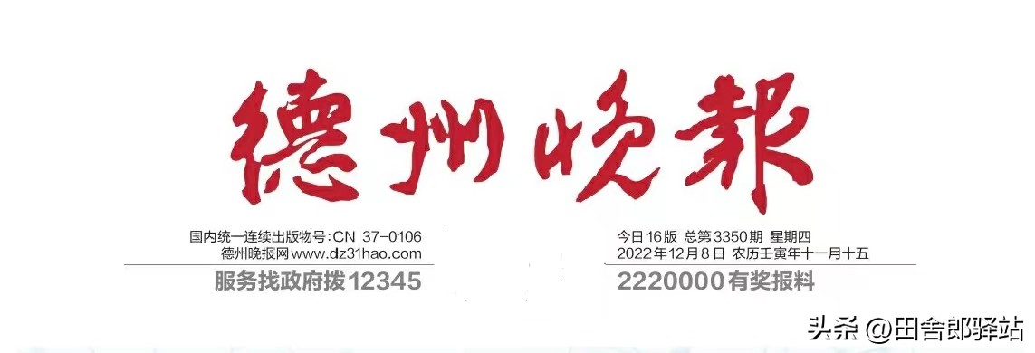 绿茵场唯美,绿茵场的魅力视频