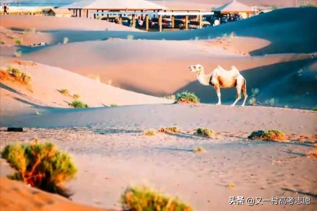 河南本科提前批学校有哪些,河南本科提前批都有哪些学校