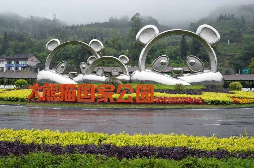 熊猫经济效应,吉利熊猫经济速度是多少