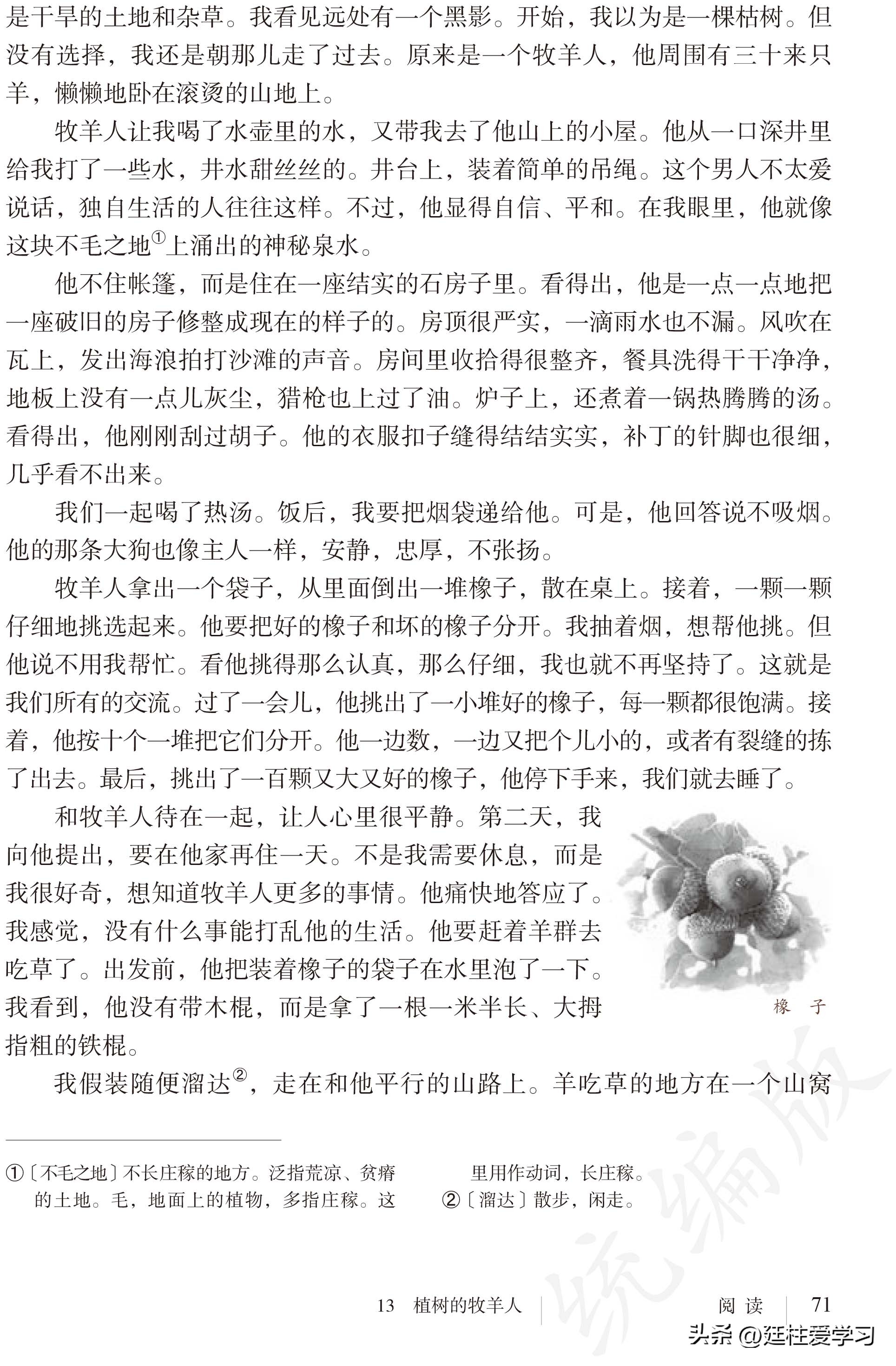 语文七年级上册电子版,语文七年级上册电子版课时练