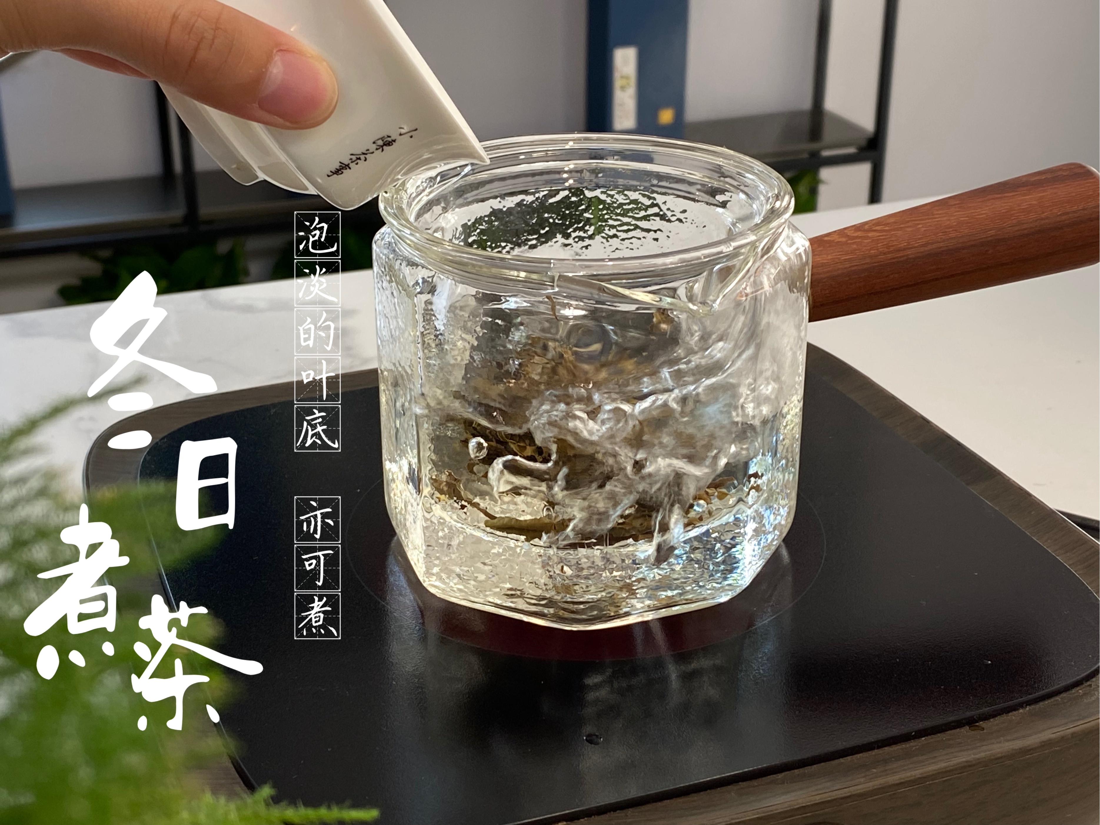 煮茶专用陶壶单壶,玻璃壶耐高温煮茶单壶