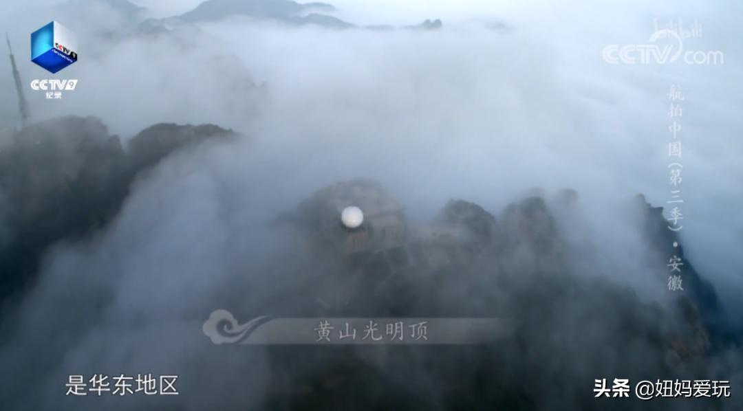 这几部口碑爆棚的宝藏纪录片,国庆孩子必看的8部神级纪录片