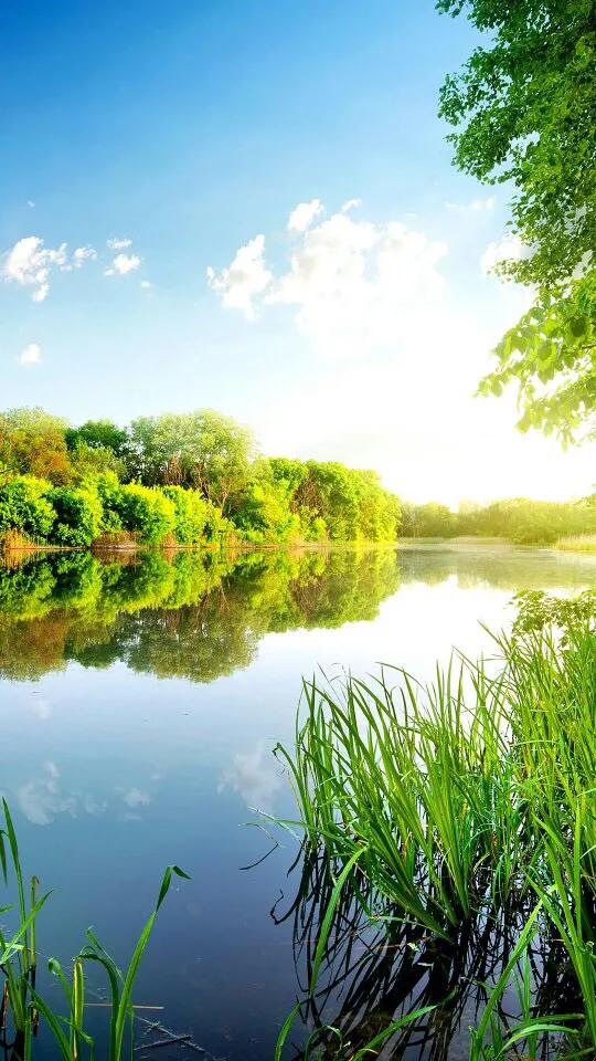 华为高清壁纸4k全屏60帧,华为最新款最高清全屏手机壁纸