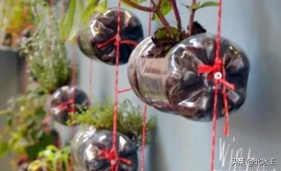 塑料瓶不要扔,废弃的塑料瓶还有很好的利用价值