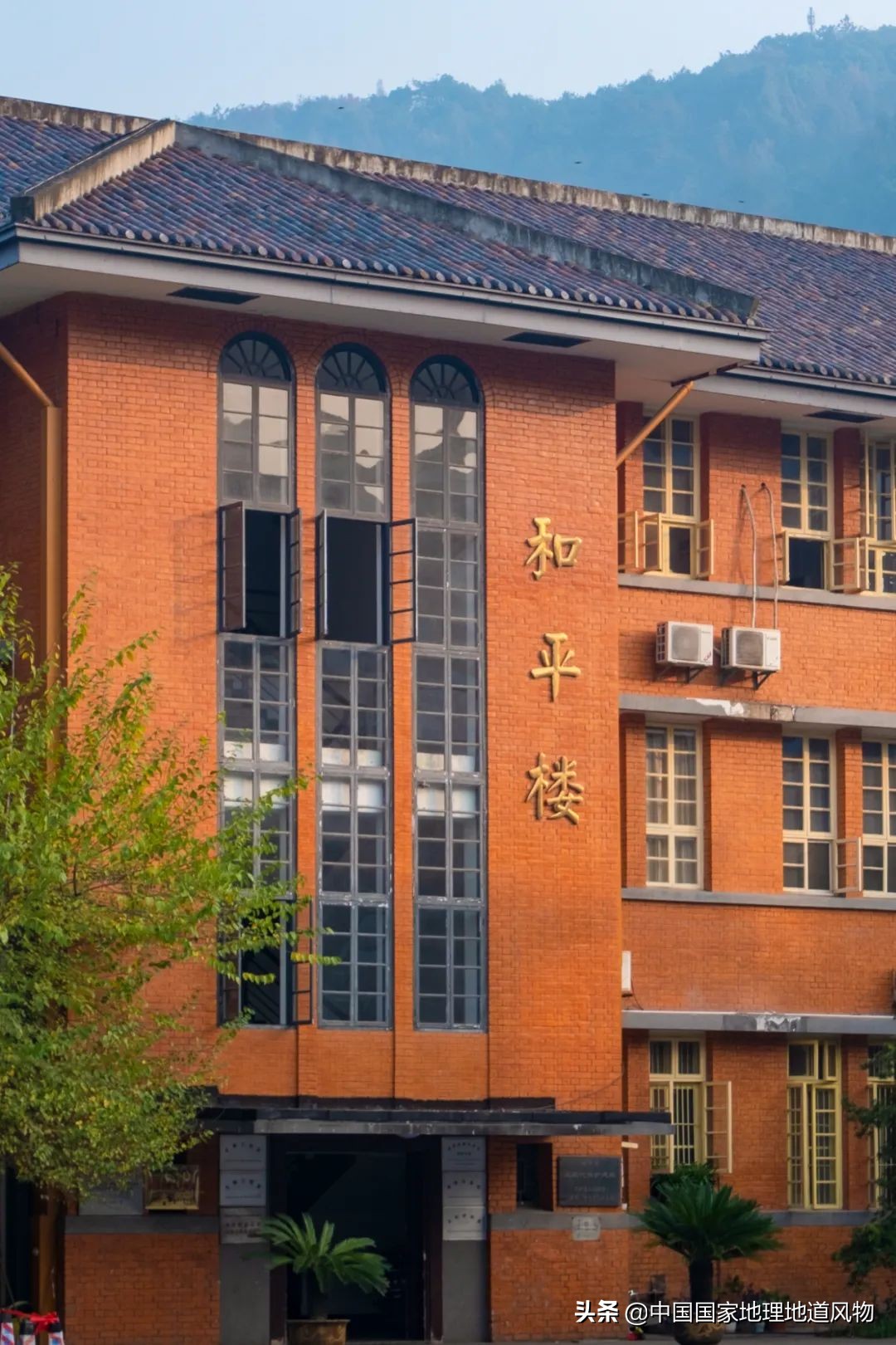 中南财经大学和中南大学法学对比,中南大学哪个系最强