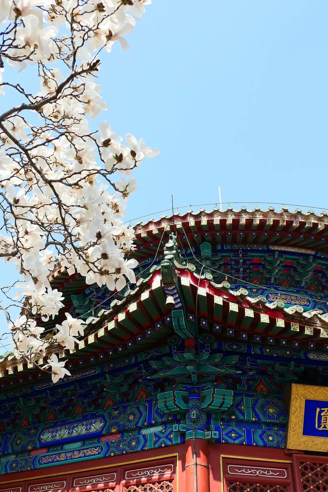 雍和宫北京最旺的古寺,不要再去人挤人的景点