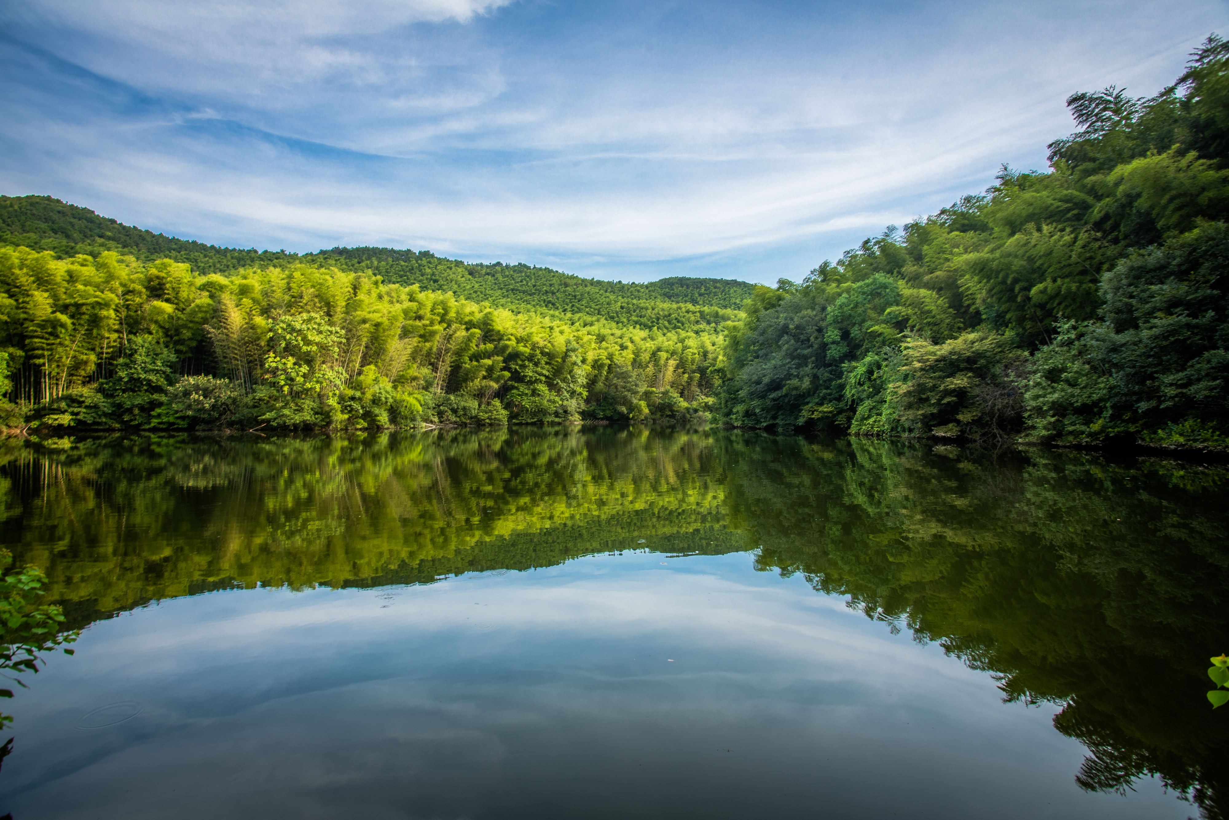 南京春游推荐石塘竹海景区,南京石塘竹海怪坡