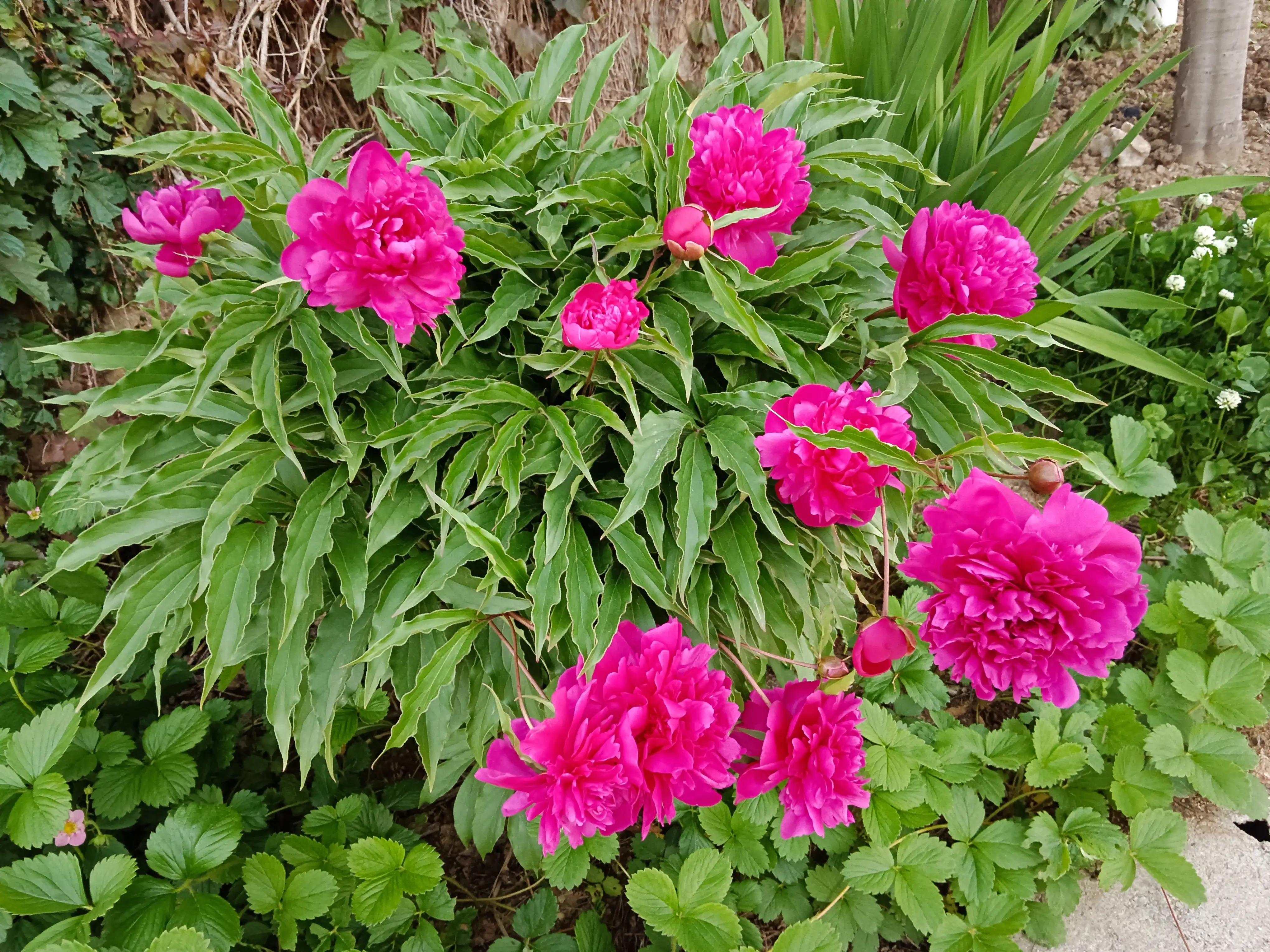 山字飞花令记忆宝典,山字飞花令全集