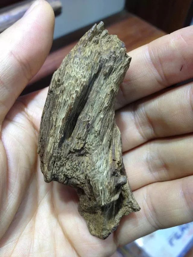 越南富森红土沉香沉水,富森红土沉香有多难得