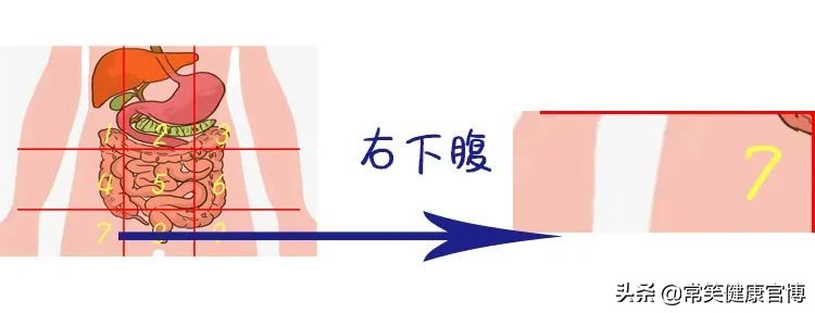 肚子疼胀痛部位对照表,肚子疼是哪里有问题一张图告诉你