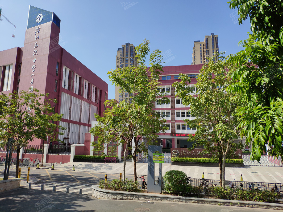 2022深圳高中梯队,深圳公办高中收费标准2022年