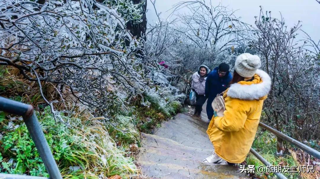 清远金子山旅游攻略看雾凇,广东金子山雪景旅游攻略