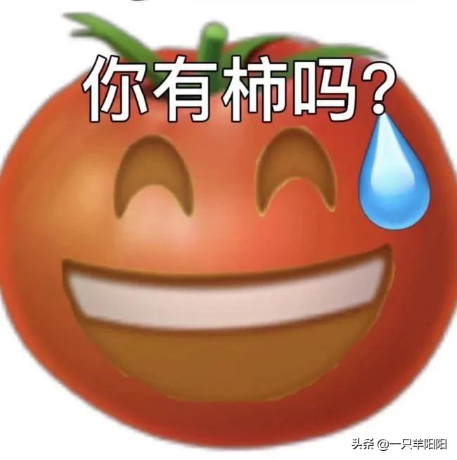 想辞职但领导不放我应该怎么说,按正常辞职流程走领导不批怎么办