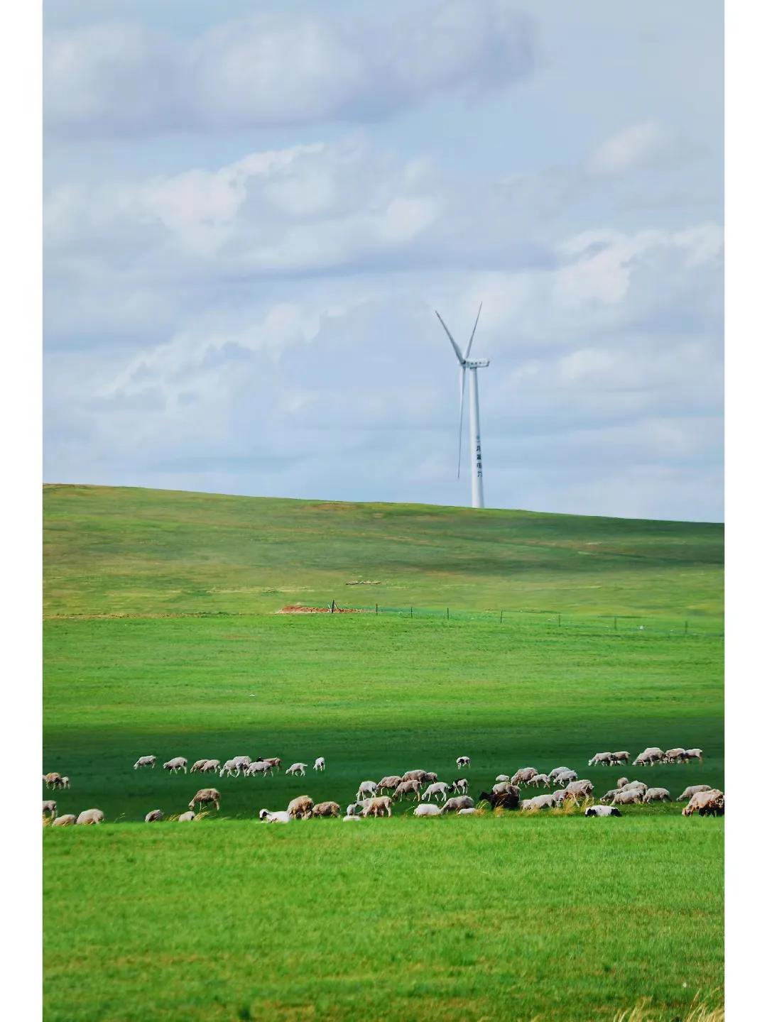 呼伦贝尔旅游攻略自驾游线路推荐,天津到呼伦贝尔自驾游攻略路线