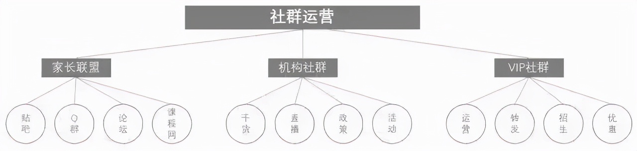 遴选社群运营完整方案ppt,体培社群引流方案